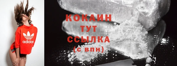 прущие грибы Балабаново