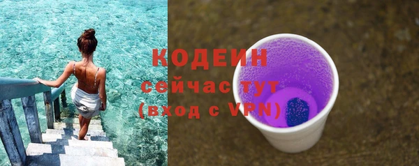 прущие грибы Балабаново