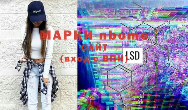 прущие грибы Балабаново