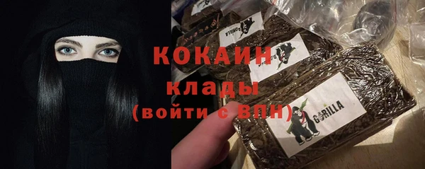 гашик Куйбышев