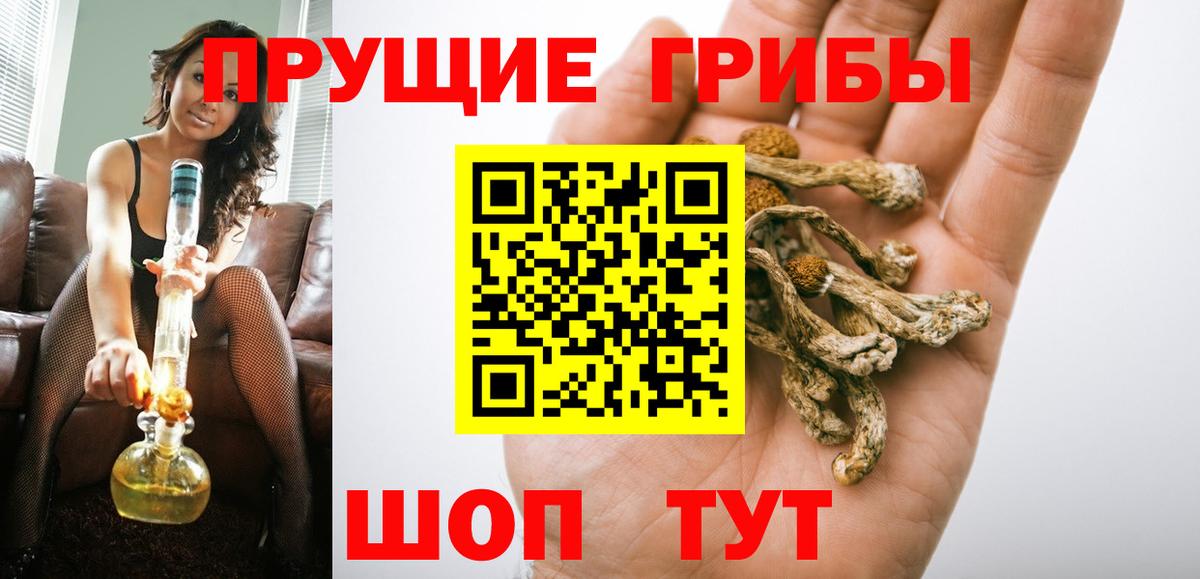 Галлюциногенные грибы MAGIC MUSHROOMS  Галлюциногенные грибы мухоморы  Малоярославец 