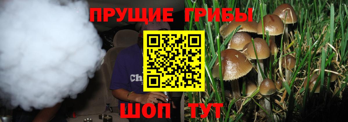 Галлюциногенные грибы Magic Shrooms  Вход с VPN  Малоярославец  Галлюциногенные грибы прущие грибы 